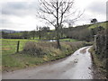 Access road to Greenslinch