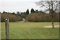 Hurtmore Road from Hurtmore golf course