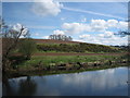 NY6818 : Looking across the River Eden by Paul Harris