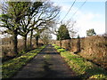 Looking W along Mill Lane