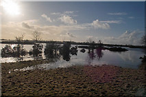 M9352 : January sunshine on a flooded Lough Funshinagh by Clive Darling