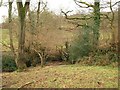 Footbridge, Wiltown valley