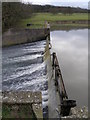 Lake edge and weir at Deene Park