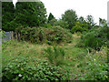 Waste ground on north side of disused railway at Chorlton Junction