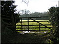 Gate and field near Wimple Wood