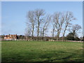 Fields towards Nodes, Magham Down, East Sussex