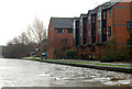 Ice on the Grand Union Canal