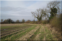 SP3369 : Hedgerow changes direction by Robin Stott