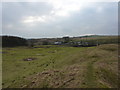 Old quarry spoil heaps and a sewage works