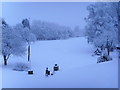 18th fairway heworth golf club winter 2010