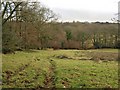 Field, Culm valley