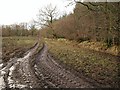 Field and track near Westcombe