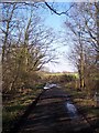 Green Lane becomes a track