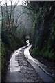 Narrow Lane, Modbury