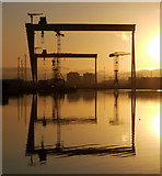 J3575 : The most famous cranes in Belfast by Rossographer