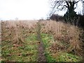 Path to Meynell Hall