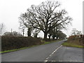 Crabmill Lane, Looking North