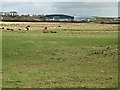 Farmland by the Rumbling Burn