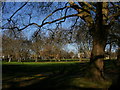 Highbury Fields