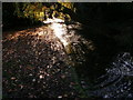 Sunlight glinting on the water at New River Walk (2)