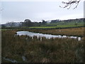 Rough Hill Tarn