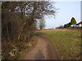 Footpath parallel to Rhydypenau Rd, Cardiff