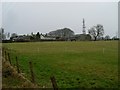 Farmland east of Rogerton