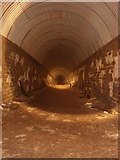 TQ7367 : Shorts Brothers Tunnels, Rochester, Kent by Rob