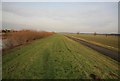 Rural road by the Trent