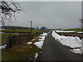 Ploughed-up snow still lies on the lane to Bushy Heath Farm