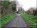 Looking N along Wayborough Hill