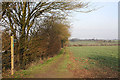 Footpath at Mill Green, Buxhall