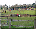 Paddocks west of Doles Lane, Bradwell