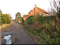 Doles Lane, Bradwell