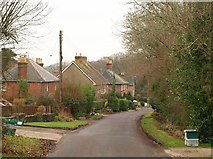 SY9386 : Barnhill Road, Ridge by Derek Harper