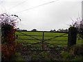 Mosestown Townland