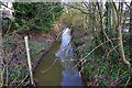 Burstow Stream