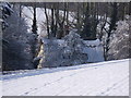 Cottage, Bucklers Bridge, Chattisham