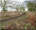 Gt Yarmouth to St Olaves railway - Belton/Bradwell