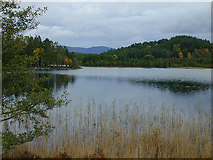 NH8906 : Loch Gamhna by Nigel Brown