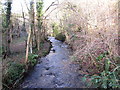 Washford River near Luxborough