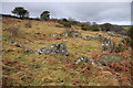 Hut circle south-east of Honeybag Tor