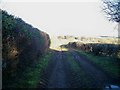 Bridleway to Dean