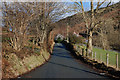 Minor road heading for Aberllefenni