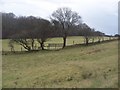 Field boundary between Caerwen and Pentyrch