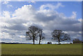 Fields west of Bainton, E Yorks