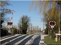 TL5056 : Fulbourn: Teversham Road level crossing by John Sutton