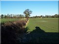 View To The Rear Of Balterley Church