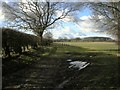 Boddington Bridleway