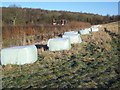 Big bales near Clench Common